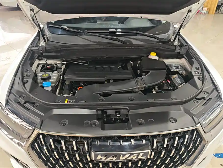 Haval H6 2023 National Trend Edition 1.5T Automatic Urban фото 10