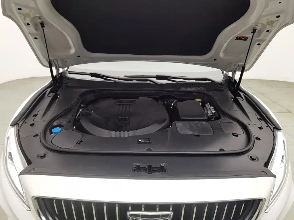 Geely Borui 2020 2021 1.8T Pilot Edition+
