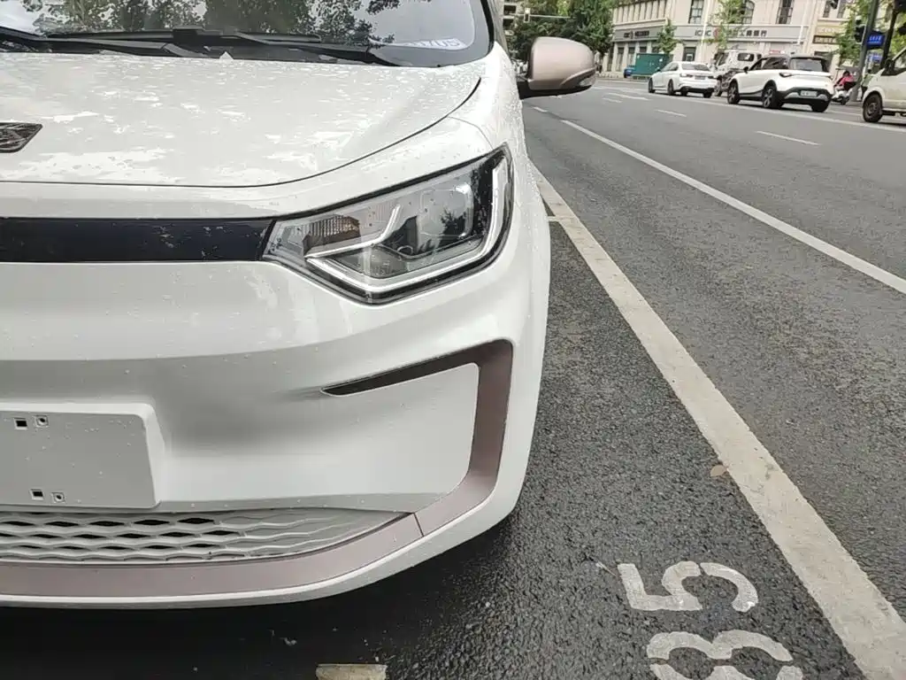 Sehol Flower Fairy 2022 2021 Jimei Edition 302km Luxury