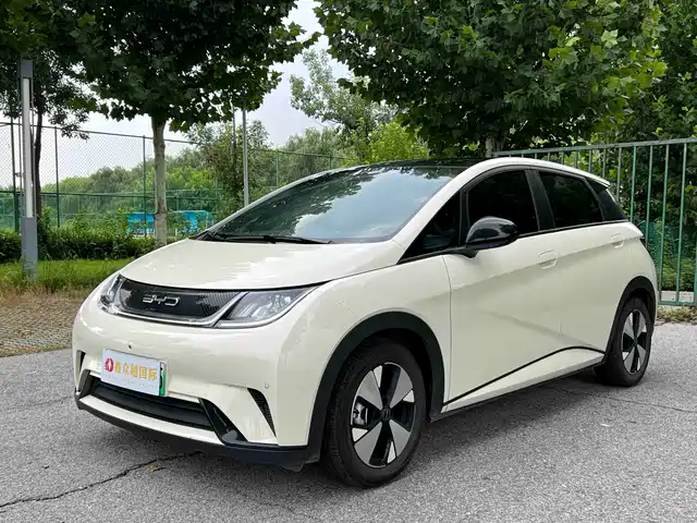 BYD Dolphin 2023 420km Fashion Edition — фото 1