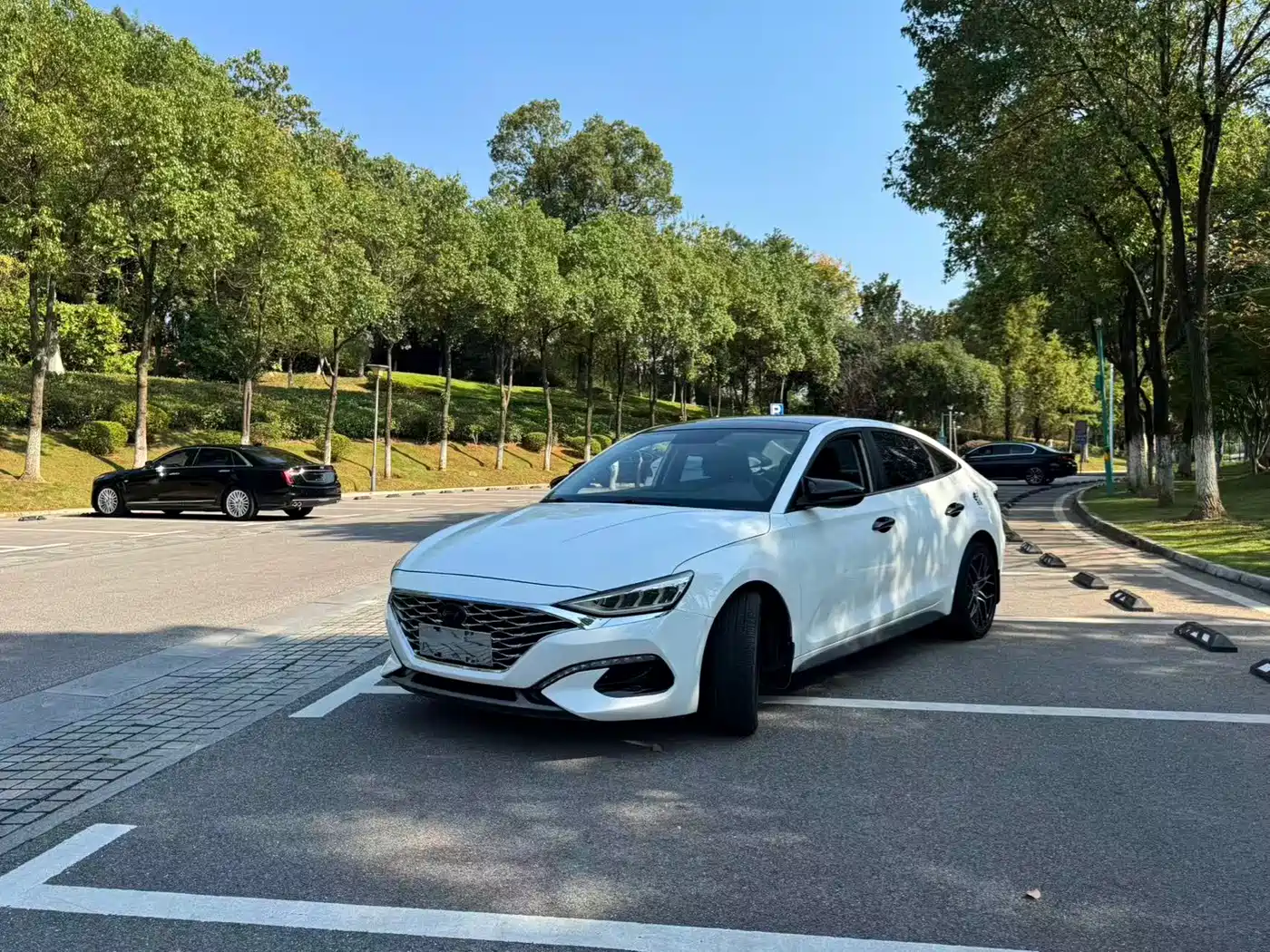 Hyundai Lafesta 2019 2019 280TGDi Sport Edition China V