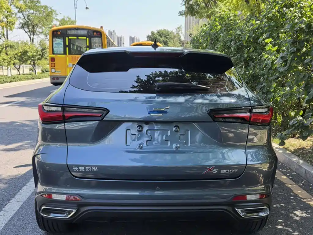 Фото 10 - Changan Oshan Changan Oushang X5