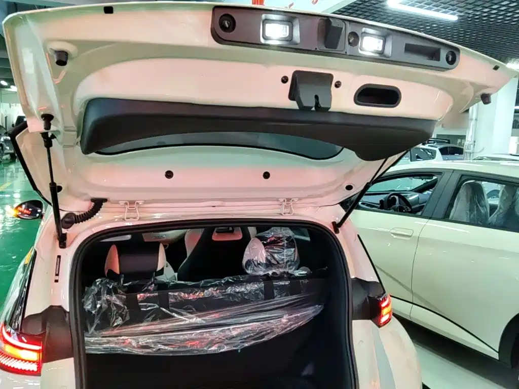BYD Seagull 2026 2025 Smart Drive Edition 305km Vitality Version