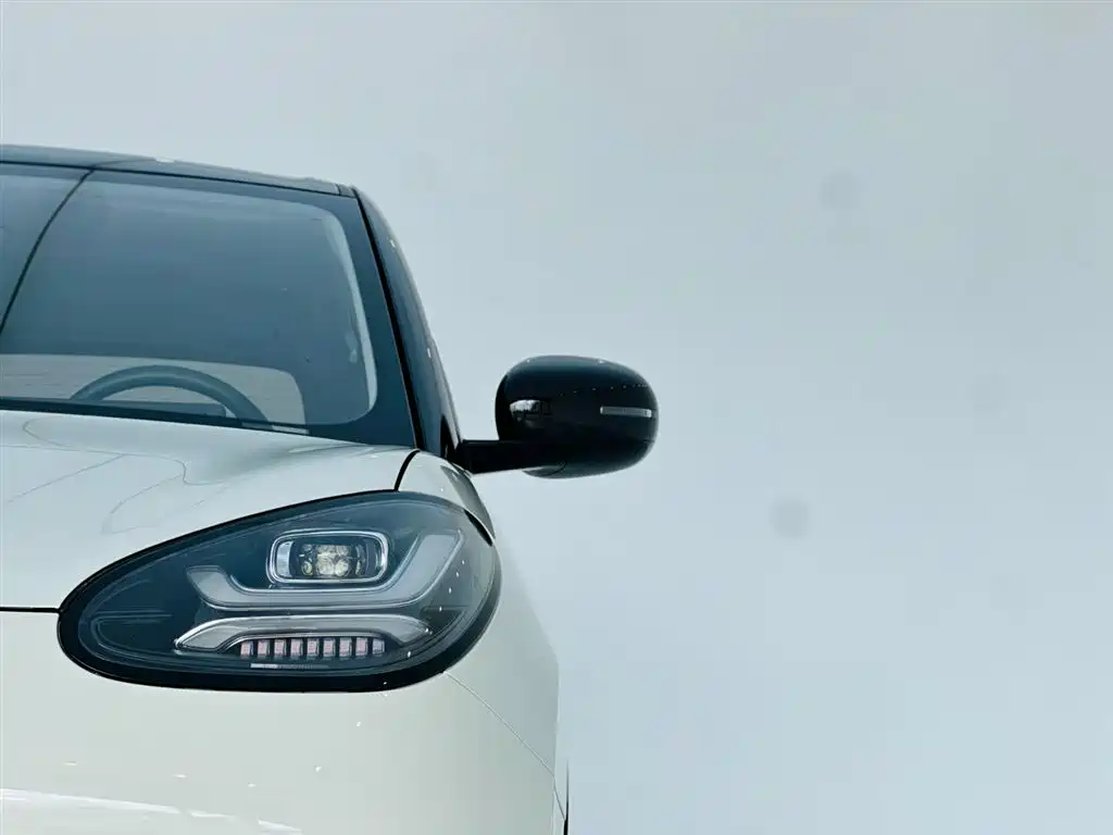  Wuling Motors Wuling Bingo 2023 Model 333km Joy+ Version 10