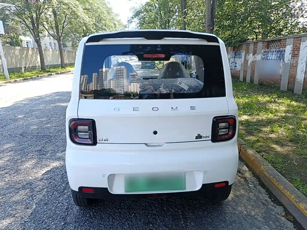 Geely Galaxy Panda 2026 2025 Panda mini 210km Vitality Bear