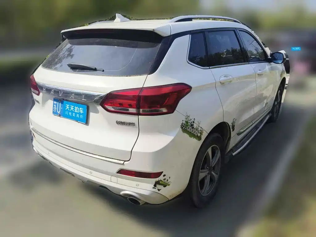 Haval H6 Coupe 2018 2018 Red Label 1.5T Auto 2WD Luxury Edition