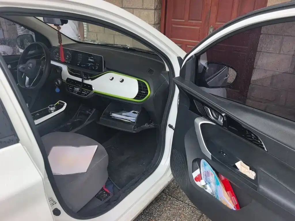 Changan Benben E-Star 2021 2020 Heartbeat Edition (NMC Battery)