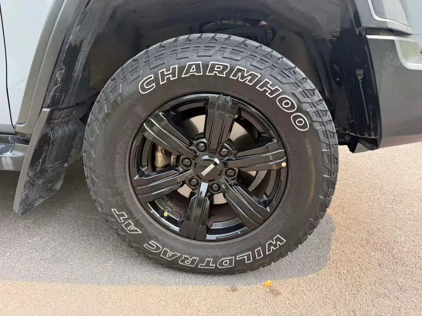 Tank 300 2021 2021 Off-road Version 2.0T Conqueror
