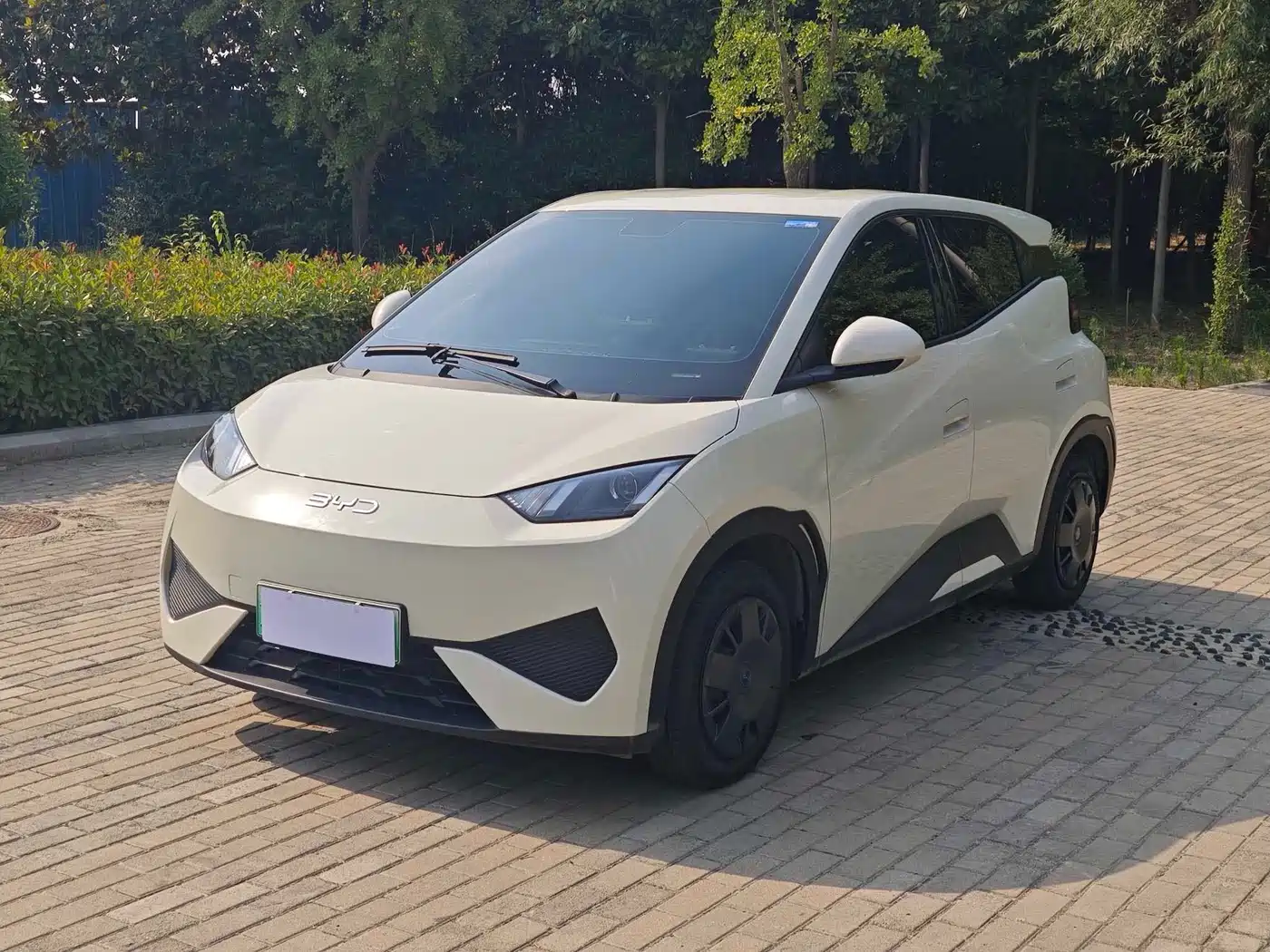 BYD Seagull 2025 Smart Drive Edition 305km Vitality Version фото 2
