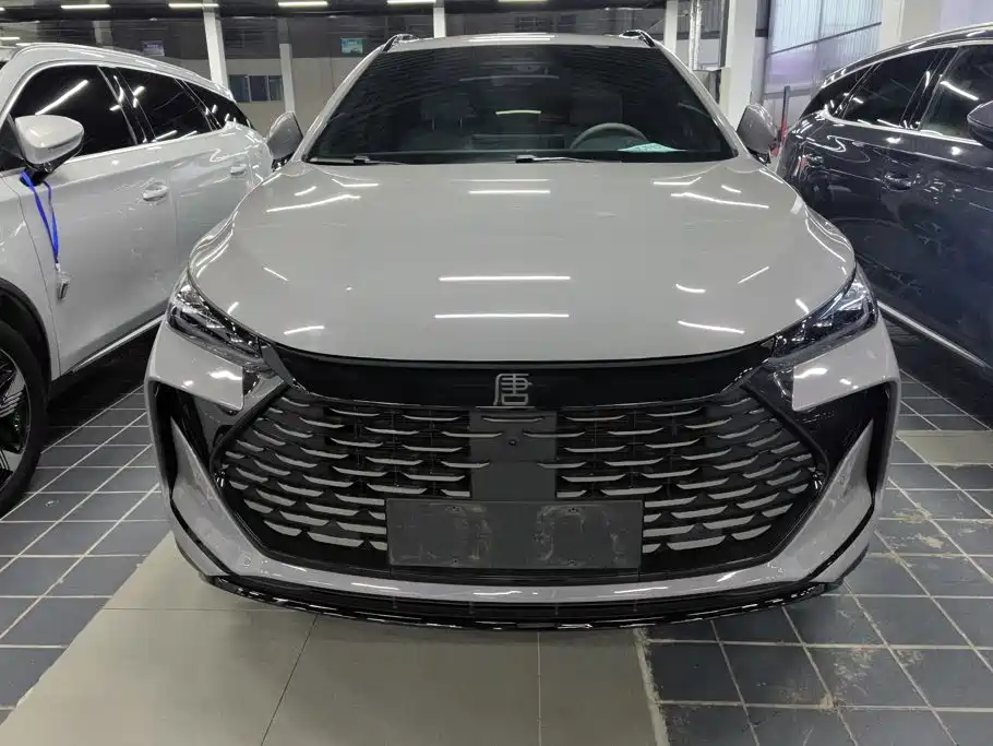 2026 BYD Tang New Energy