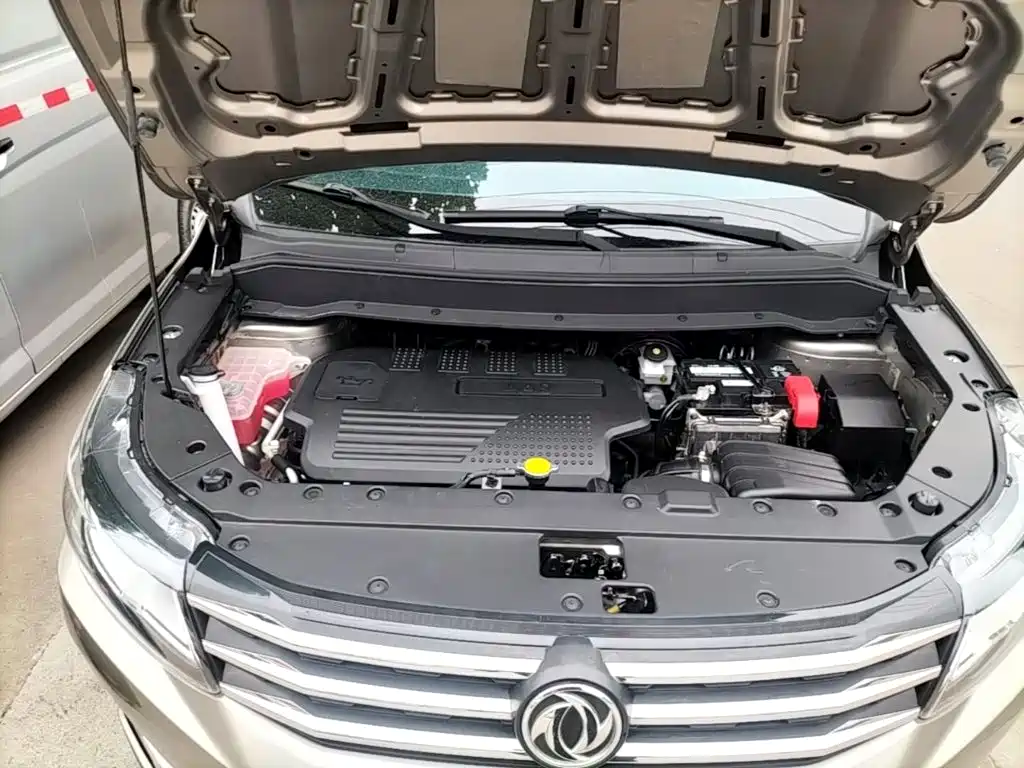 Dongfeng Fengxing Fengxing SX6 2020 2019 1.6L Manual Luxury China VI