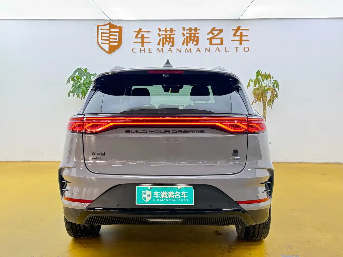 BYD Tang New Energy 2026 2026 Smart Drive Edition DM-i 160KM Premium