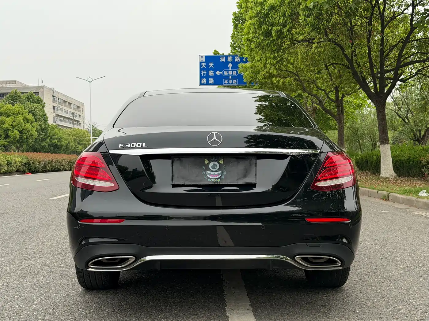 Mercedes-Benz E-Class 2019 E 300 L Sport Luxury фото 5