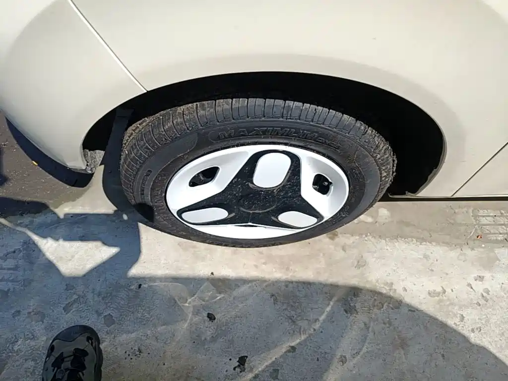Geely Galaxy Panda 2026 2025 Panda mini 210km Vitality Bear