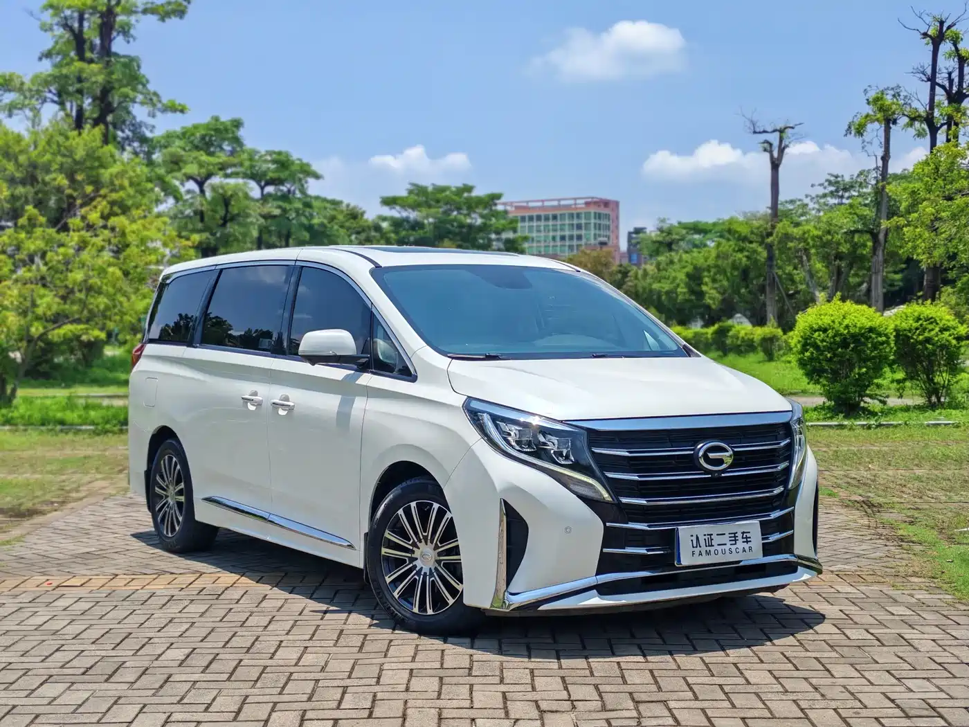 GAC Trumpchi Trumpchi M8 2021 Leading Show Series 390T Ultimate Edition фото 3