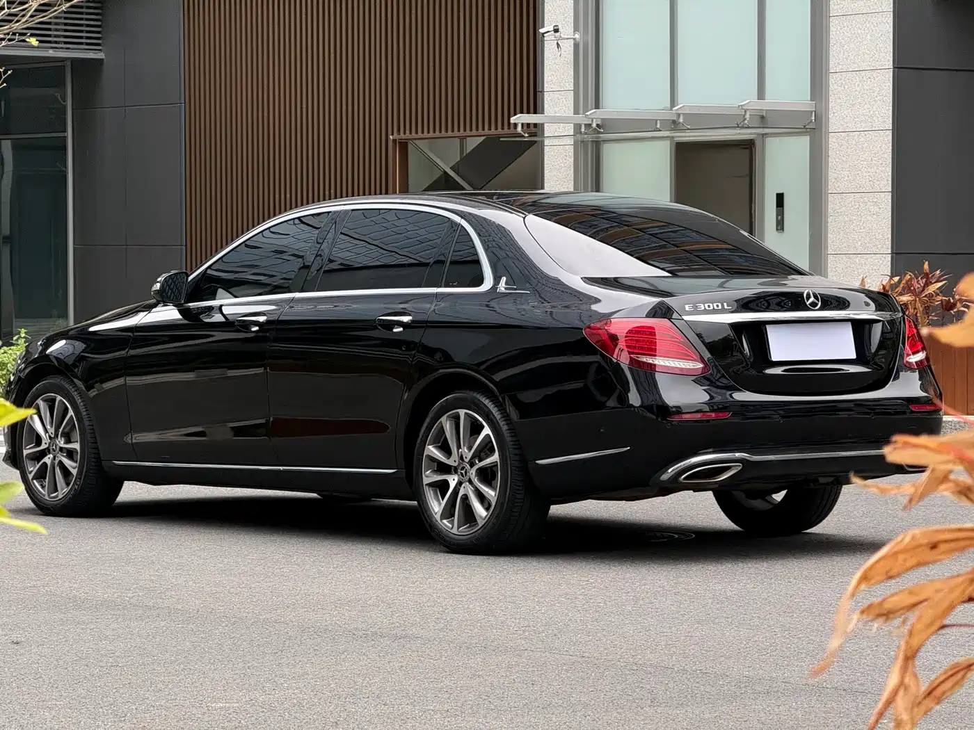 Mercedes-Benz E-Class 2018 E 300 L Luxury фото 6