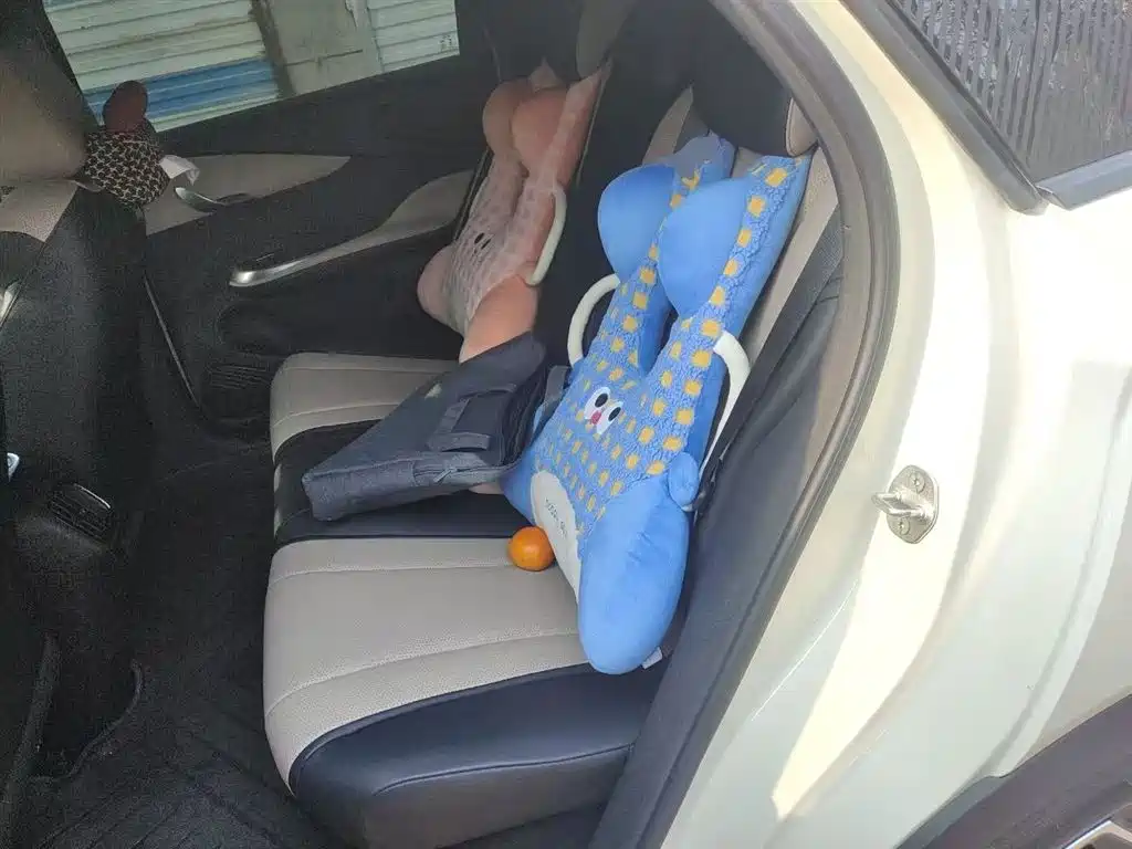 BYD Dolphin 2025 Smart Drive Edition 420km Freedom Version фото 17
