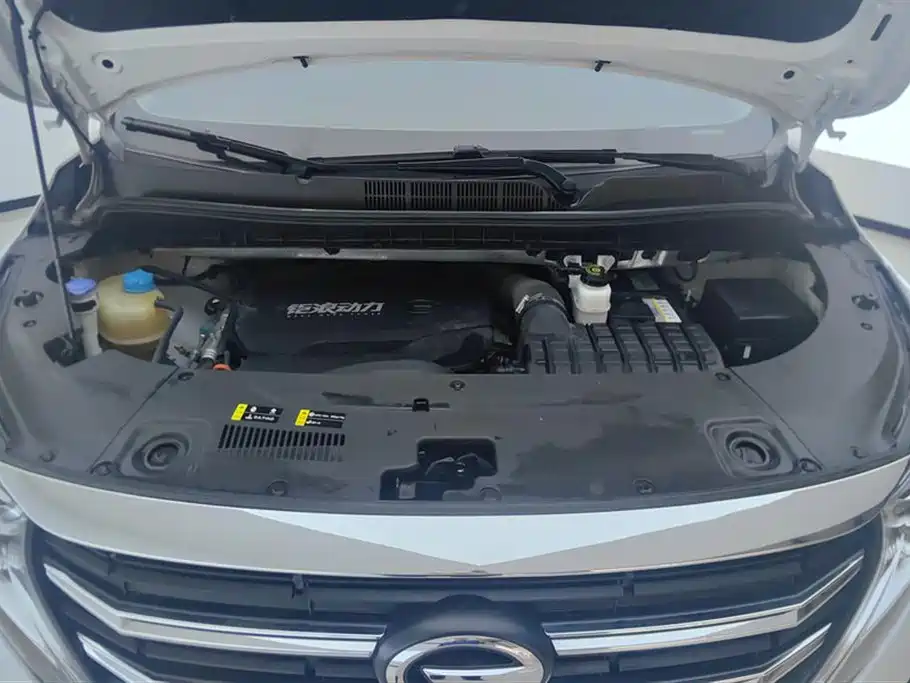 GAC Trumpchi Trumpchi M8 2023 Leading Series 390T Prestige Edition фото 10