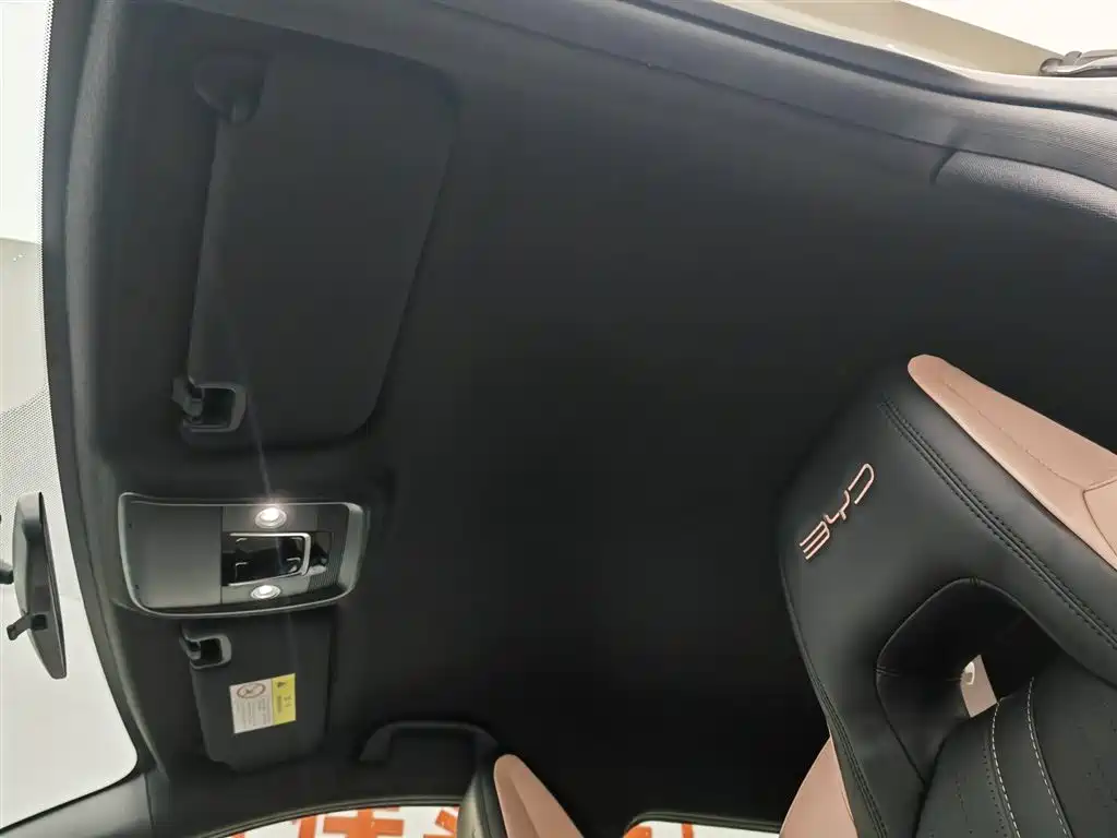 BYD Seagull 2023 Vitality Edition фото 14