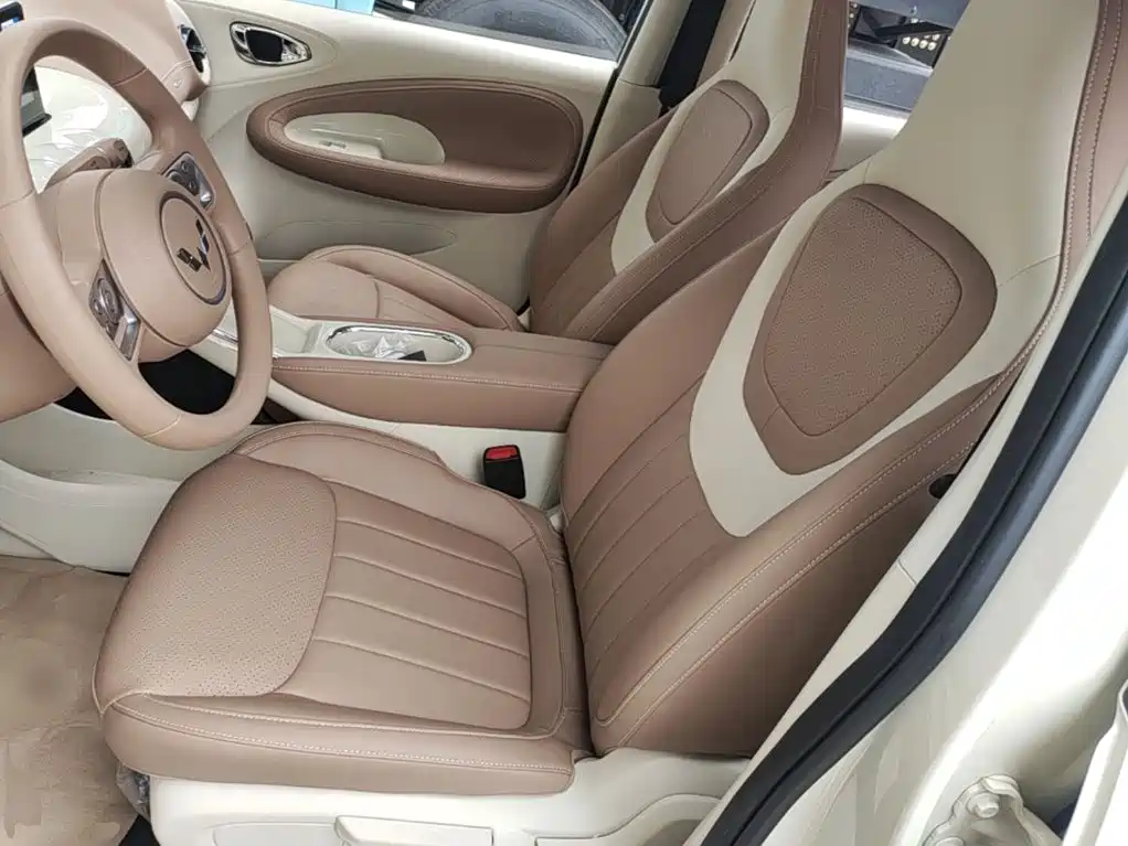 Wuling Motors Wuling Bingo 2026 2025 Model 333km Joy Edition