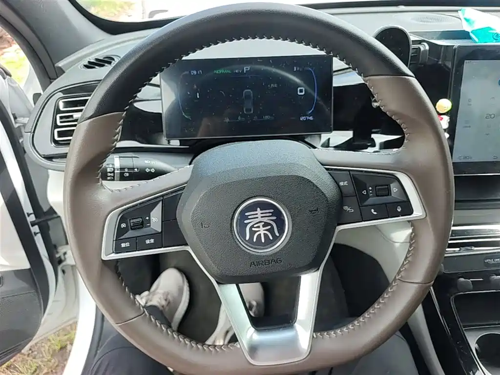 BYD Qin PLUS 2024 Glory Edition DM-i 55KM Leading фото 3