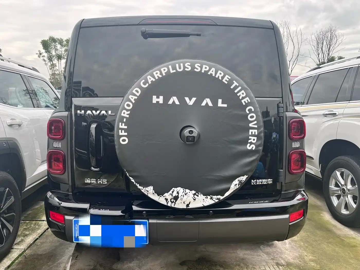 Haval H9 2024 2.0T Gasoline AWD Extreme Edition фото 13