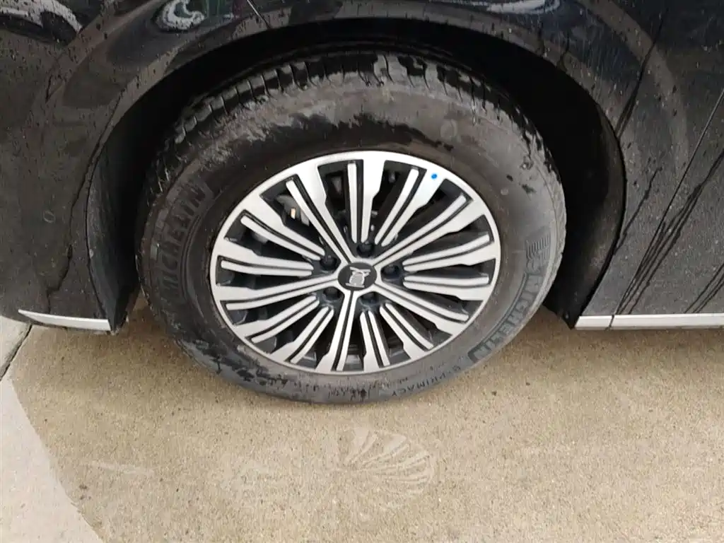 BYD Xia 2025 DM-i 1.5T 180km Excellence фото 23