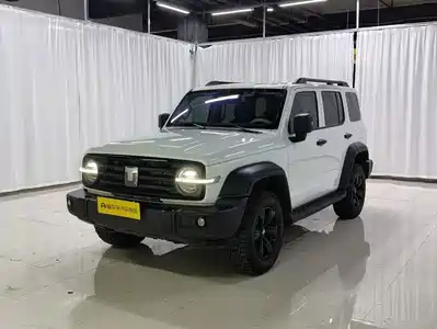 Tank 300