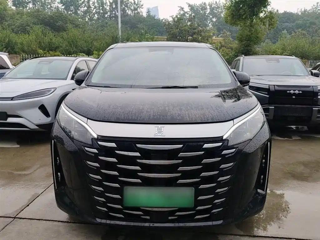 BYD Xia 2025 DM-i 1.5T 180km Excellence фото 3