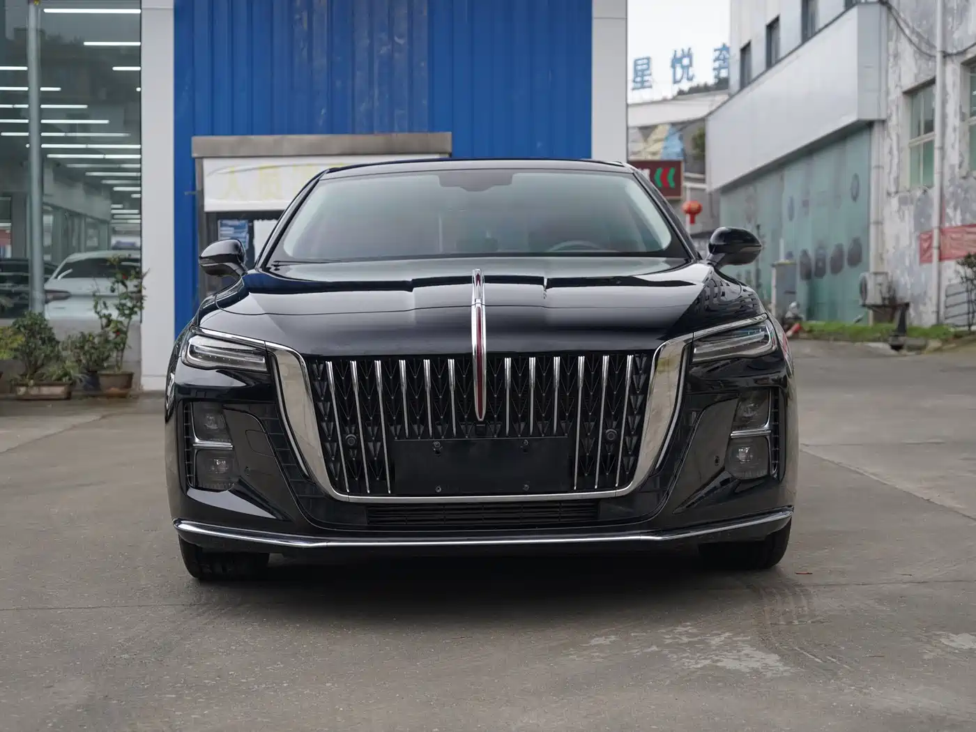 Hongqi H5 2024 1.5T DCT Smart Connect Flag Rhythm Edition фото 2