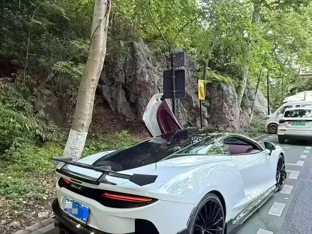 McLaren GT 2022 2022 4.0T Standard