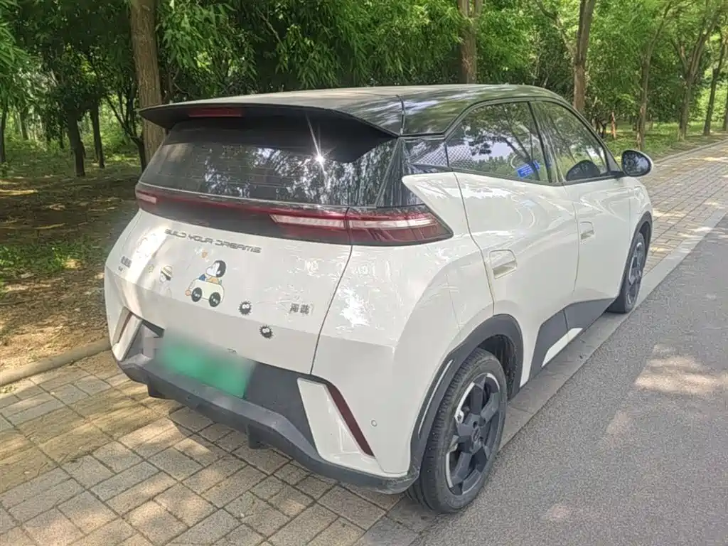 BYD Seagull 2024 Glory Edition 305km Freedom Edition фото 7