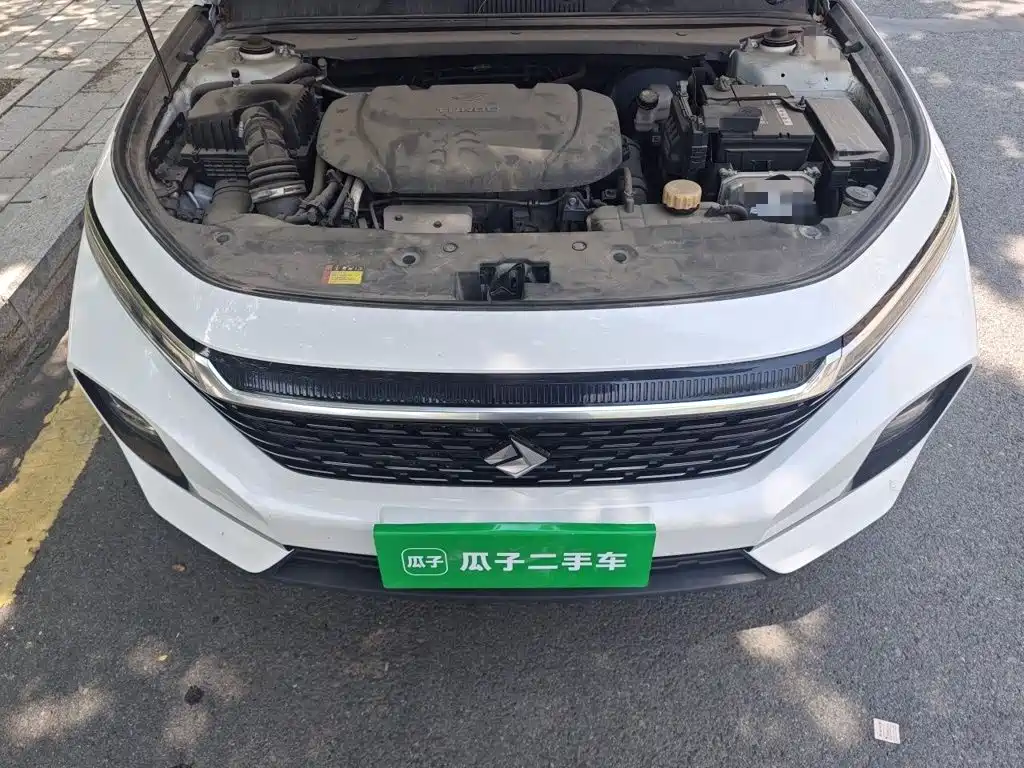 Baojun Valli 2021 2021 1.5T Nagqu Starry Sky CVT Flagship Model