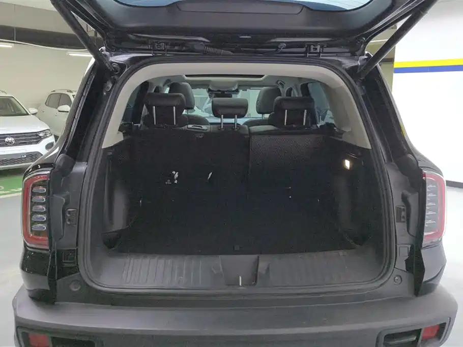 Haval Big Dog 2022 1.5T DCT FWD Border Collie Edition фото 4