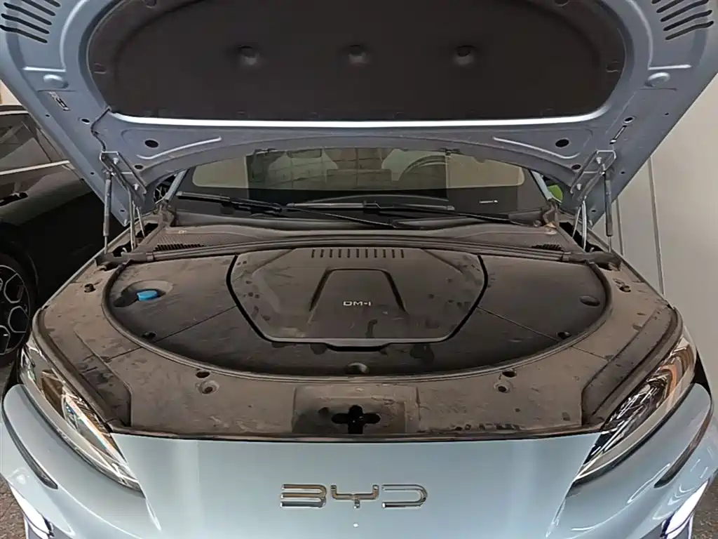 BYD Song PLUS PHEV 2023 Champion Edition DM-i 150KM Flagship PLUS фото 20