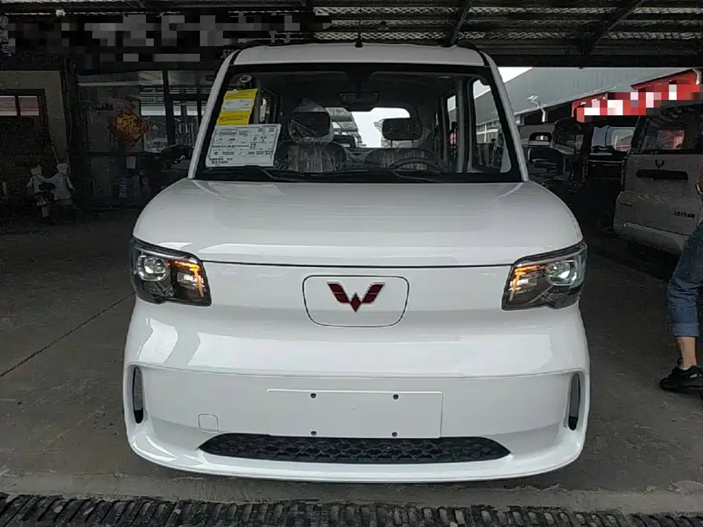 Wuling Motors Wuling Zhiguang NEV 2026 2025 Model 305km Base Version