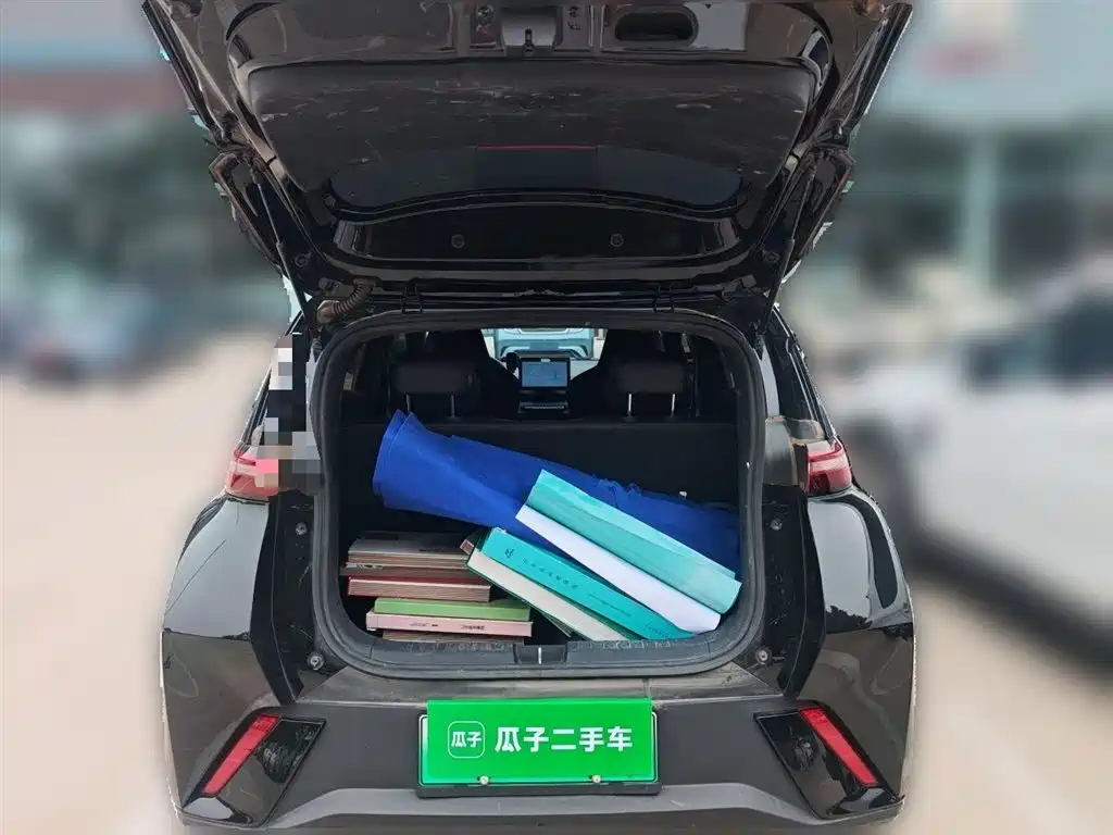 BYD Seagull 2024 Glory Edition 305km Vitality Edition фото 16