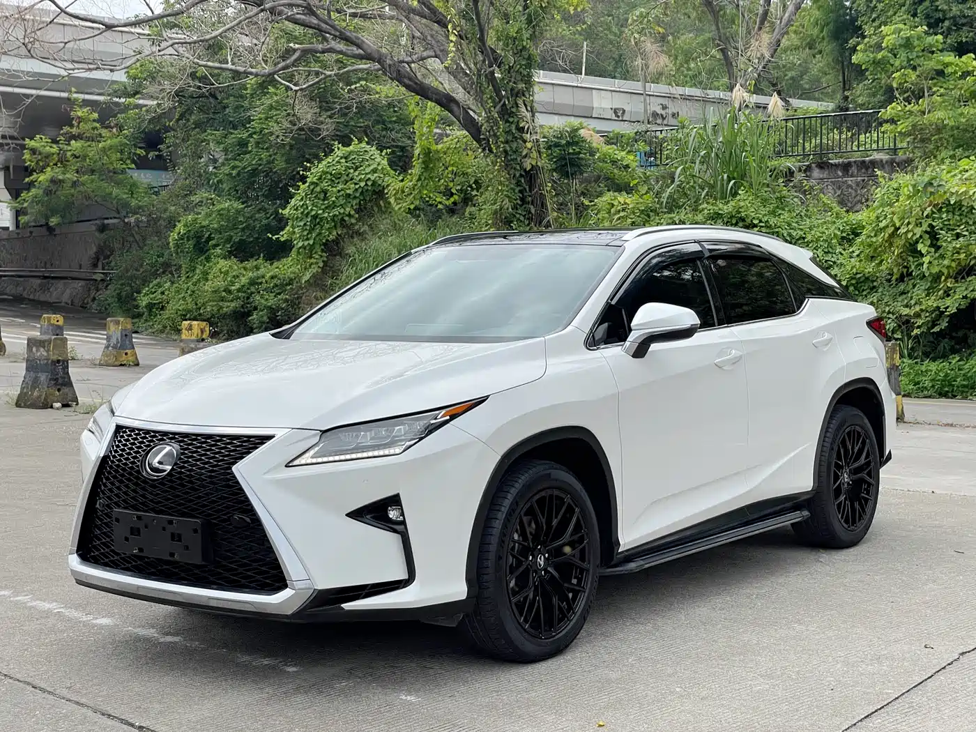 Lexus RX 2016 300 4WD Elegance Edition (China V)