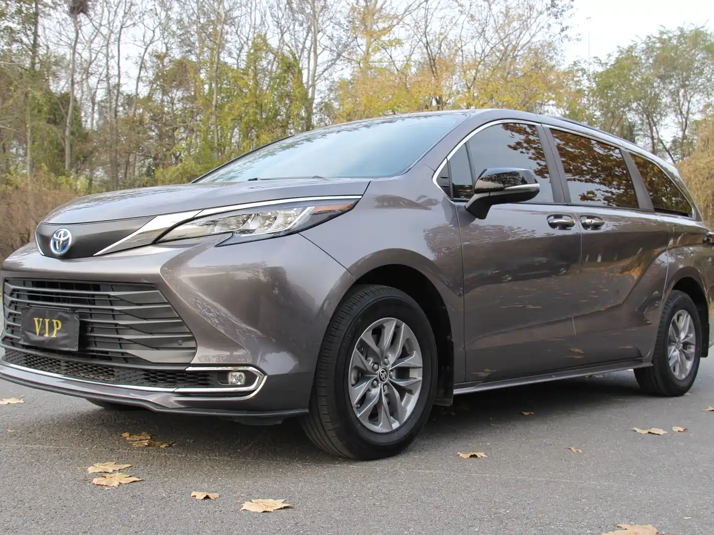 Toyota Sienna 2021 2.5L Hybrid Platinum Edition фото 2