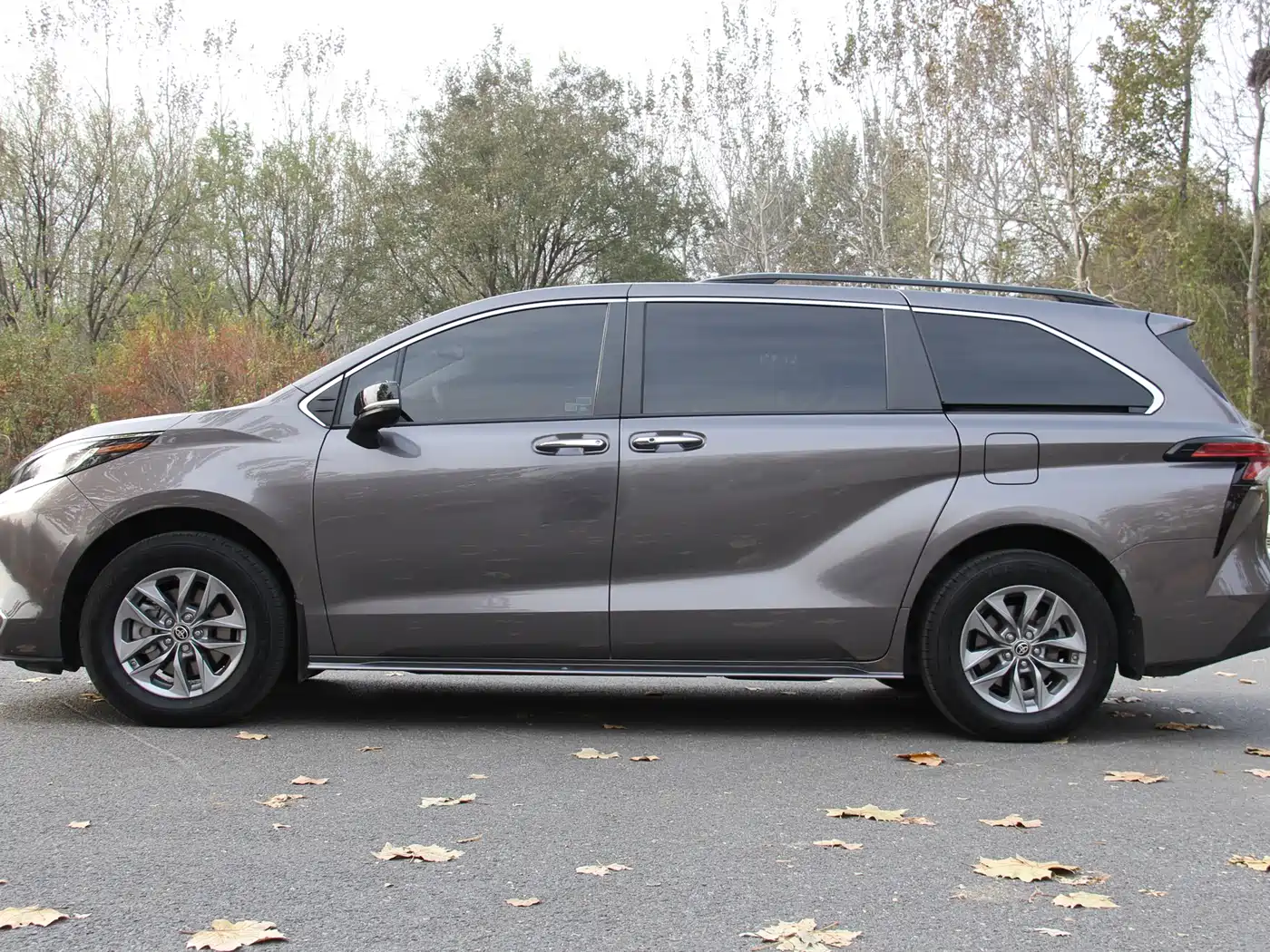 Toyota Sienna 2021 2.5L Hybrid Platinum Edition фото 4