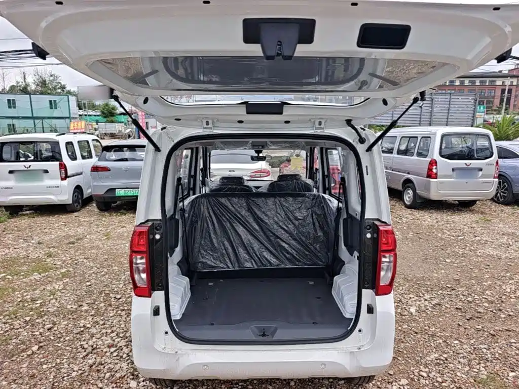 Wuling Motors Wuling Zhiguang NEV 2026 2025 Model 305km Base Version