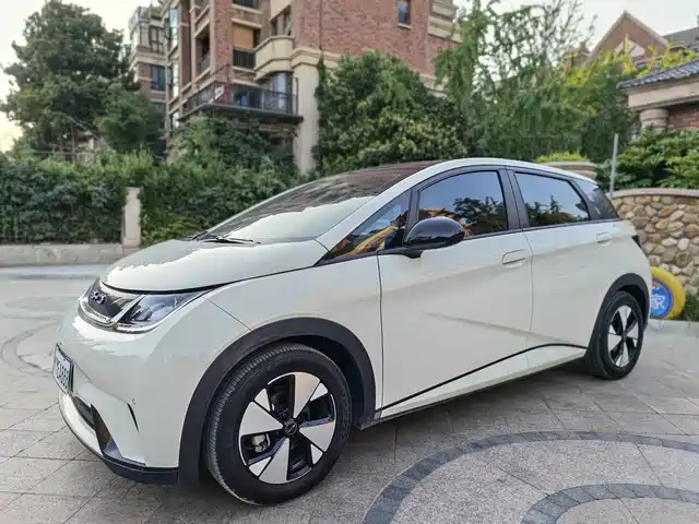 BYD Dolphin 420km, Стиль