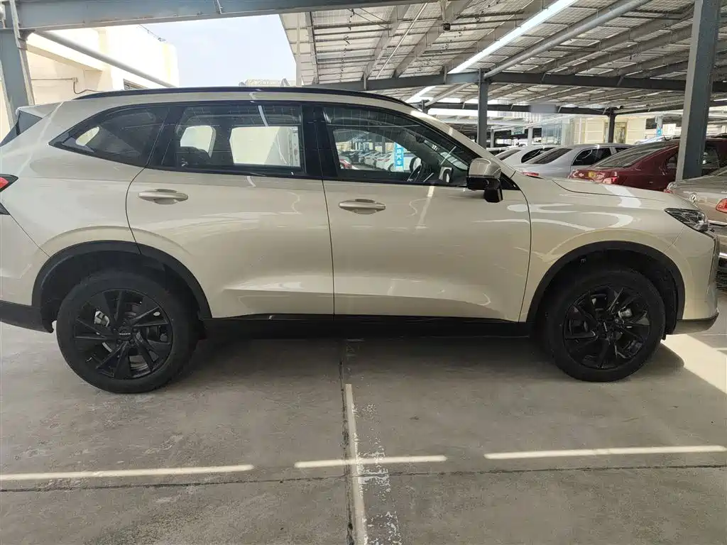 Haval H6 2024 1.5T 2WD Ultra фото 11