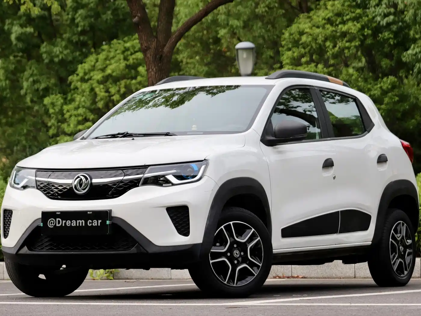 Dongfeng Yipai Dongfeng Nano EX1 2022 2022 PRO Joy Comfort Edition