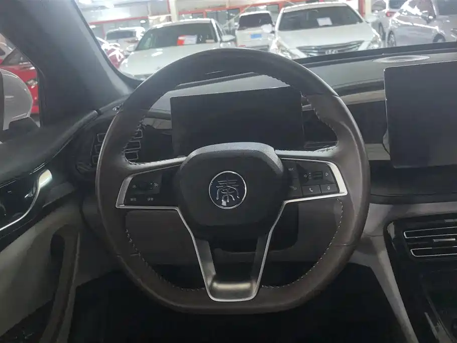 BYD Qin PLUS 2024 Glory Edition DM-i 55KM Leading фото 15