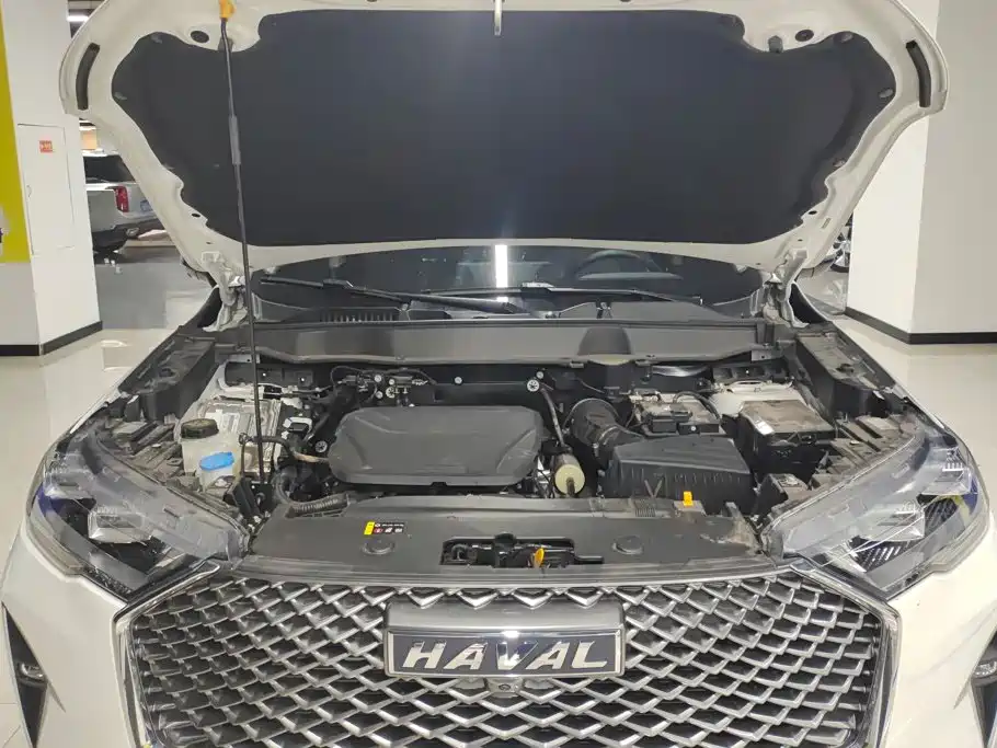 Haval H6 2025 2024 Model 1.5T 2WD Classic Edition