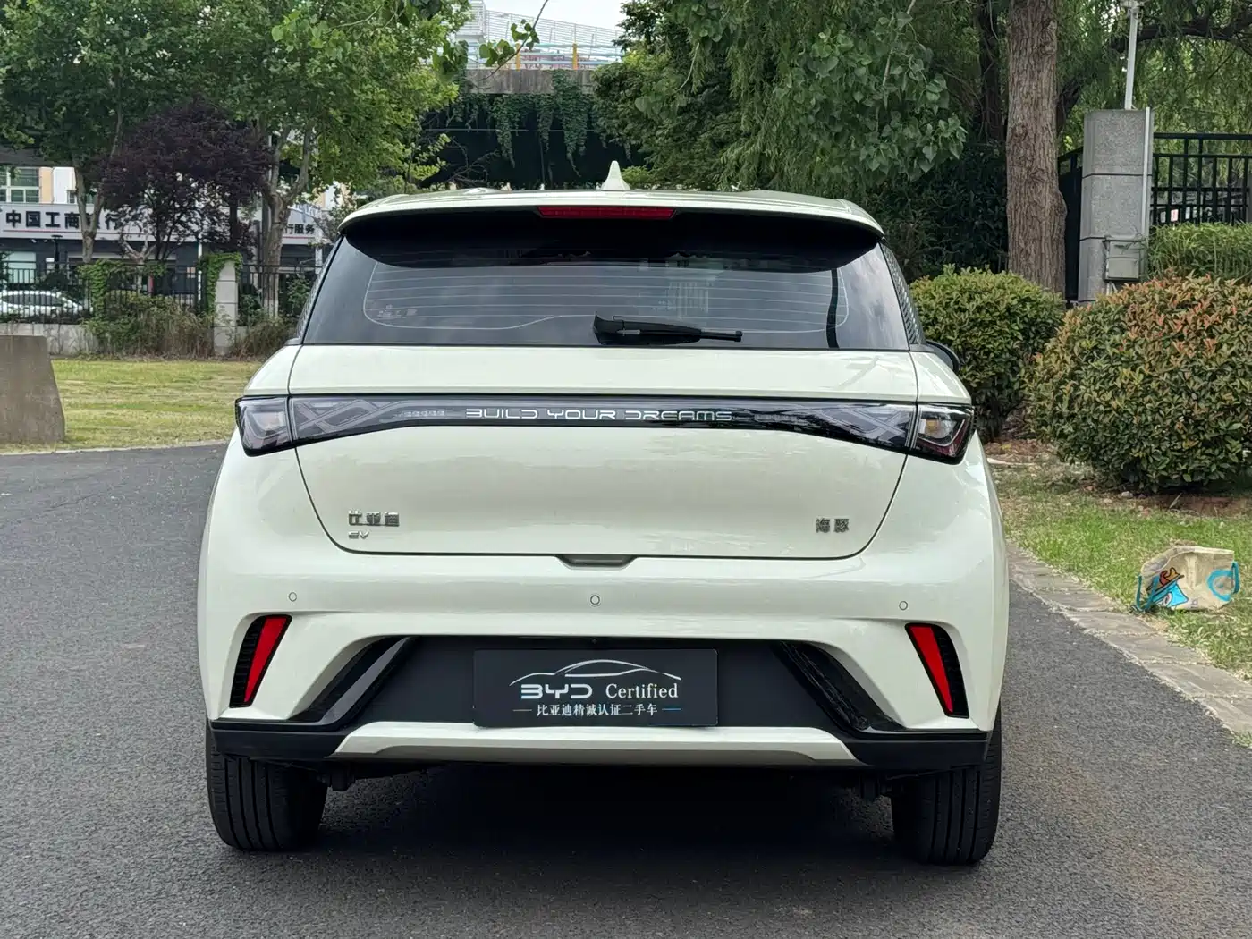 BYD Dolphin 2025 420km Freedom Edition фото 13