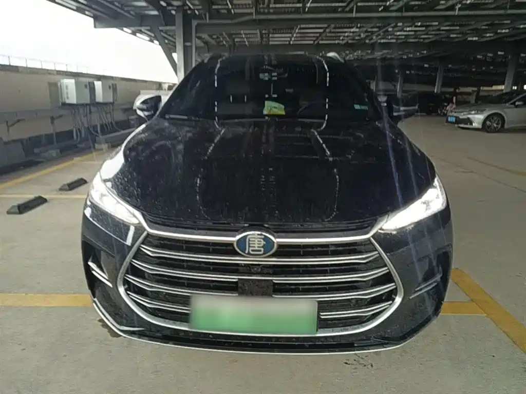 BYD Tang New Energy 2021 DM-i 112KM Premium фото 3