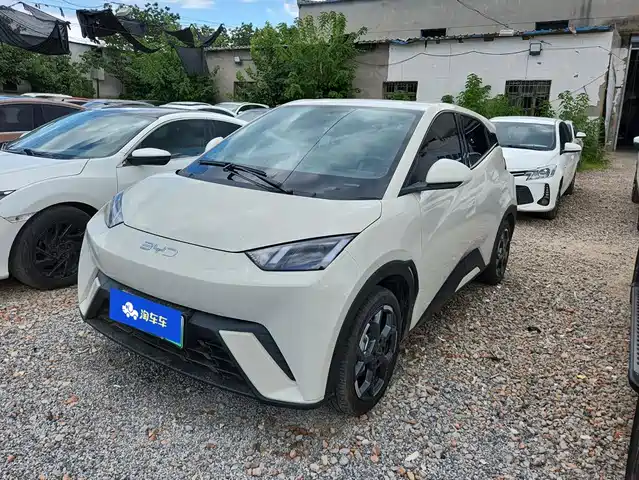 BYD Seagull 2024