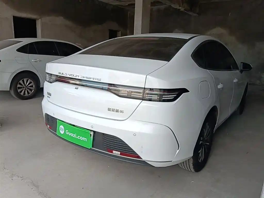 BYD Destroyer 05 2024 Glory Edition DM-i 55KM Luxury фото 7
